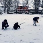 雪の朝にみつめる、あなたの「心の若さ」