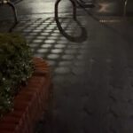 雨の日のさんぽ