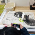 インナーエンジニアリング②